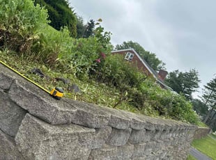 Weeding by Rachel Pensyl for Allen S. in Harrisburg, PA