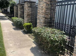 Bush Trimming by Jeff Templeton for Khulloud A. in Houston, TX