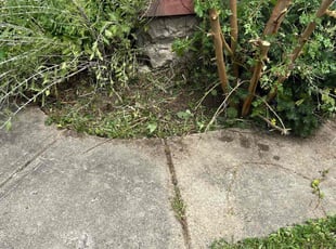 Weeding by Anthony Grant for Marcia H. in Indianapolis, IN