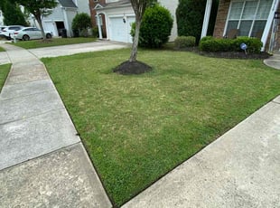 Bush Trimming by Adam Kersey for Catherine W. in Charlotte, NC