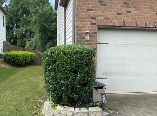 Rose D.'s Bush Trimming service result