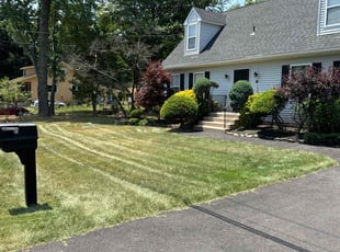 David A.'s Grass Cutting service result