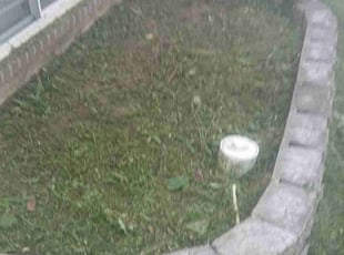Mulching by Zad Broady for Amy H. in Jeffersonville, IN