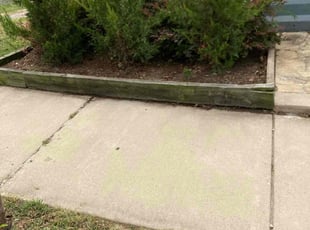 Cleanups by Almonte Marshall for Eric K. in Durham, NC