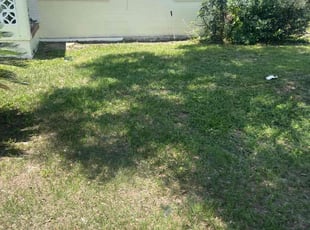 Bush Trimming by TJ Blu for Stanley J. in Tampa, FL