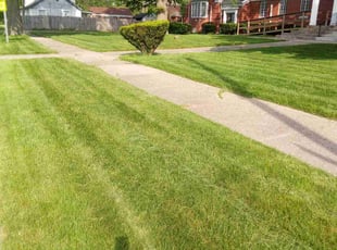 Andrew H.'s Lawn Service service result