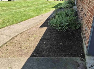 Weeding by Devin Adams for Deja T. in Fairborn, OH