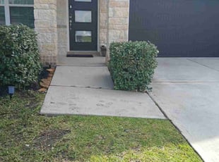 Bush Trimming by Efrain Perez for Al R. in Richmond, TX