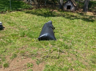 Leaf Removal by Angel Madera for Holly M. in New Britain, CT