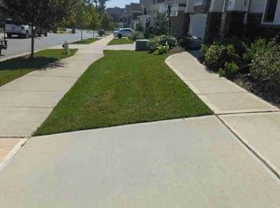 Tam J.'s Lawn Maintenance service result