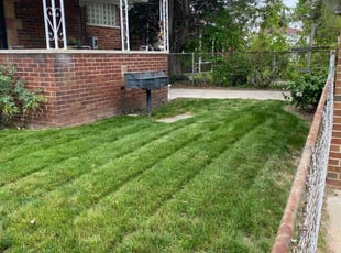 Weeding by Angela Valdez for Joyce L. in Detroit, MI
