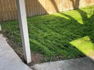 Janice T.'s Lawn Mowing service result