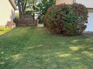 Linda O.'s Lawn Mowing service result