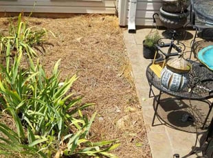 Weeding by Marcus Rouse for Carol N. in Bessemer, AL
