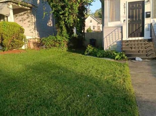 Eual H.'s Lawn Care service result