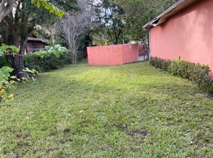 Bush Trimming by Ivan Castillo for Luis R. in Kissimmee, FL
