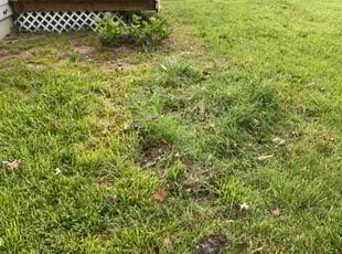 Cleanups by Melford Franklin for Darrell T. in Rosedale, MD
