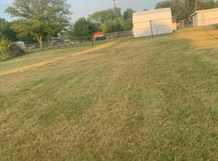 Cleanups by Zachary Sizemore for Matt B. in Grove City, OH