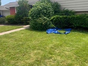 Bush Trimming by Kaitlynn Gilles for Teri M. in Appleton, WI