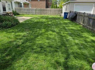 Kristen S.'s Lawn Care service result