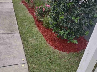 Mulching by Gray Allen for Rebecca F. in New Orleans, LA