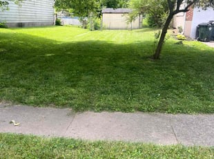 Kumar K.'s Grass Cutting service result