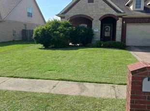 Helen H.'s Lawn Service service result