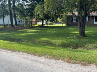 Sarah D.'s Lawn Mowing Service service result