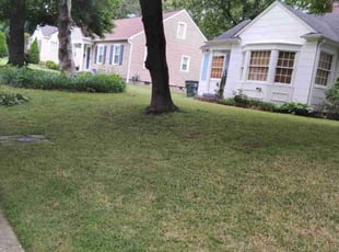 Weeding by Donerica Horton for Brandon M. in Memphis, TN