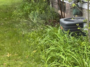 Leaf Removal by Nahum Graham for Kenneth S. in Youngstown, OH