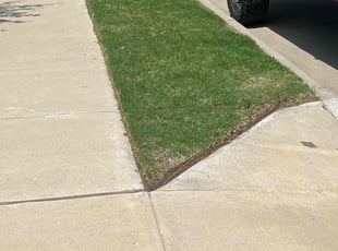 Rebecca S.'s Lawn Service service result
