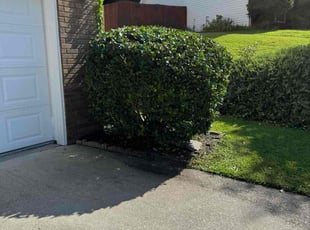 Bush Trimming by Armando J for Teona B. in Lawrenceville, GA