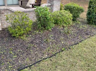 Bush Trimming by David Sears for Farah M. in Irondale, AL
