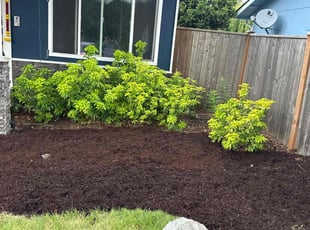 Mulching by Nouri Abdelkader for Saravanan R. in Bothell, WA