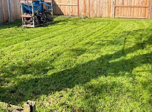 Cleanups by Gabriel Aldrete for Michele A. in Sacramento, CA