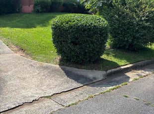Bush Trimming by Jovon Braddy for Xavier W. in Atlanta, GA