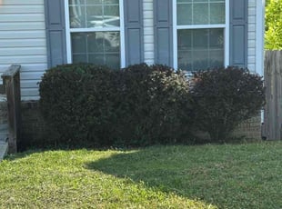 Bush Trimming by Aaron Davis for James H. in Christiansburg, VA