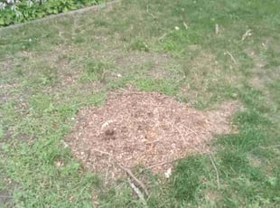 Cleanups by Jason Leger for William R. in Minneapolis, MN