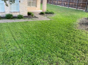 Nicholas G.'s Lawn Mowing service result
