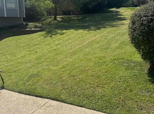 Zach L.'s Lawn Maintenance service result