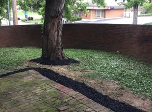 Landscaping by Melvin Pryor for Emmicia B. in Nashville, TN