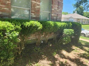 Bush Trimming by Remijia Slaughter for Max L. in Crowley, TX