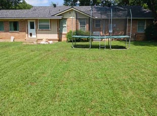 Corin A.'s Lawn Mowing service result