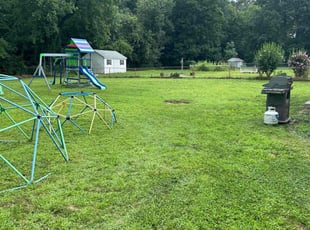 Jade R.'s Lawn Care service result
