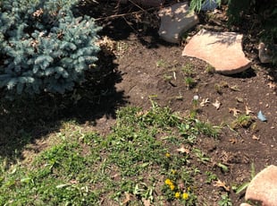 Cleanups by Charles Hubbard for Chris V. in Cleveland, OH