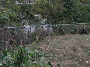 Cleanups by Javis Hogan for Morgan H. in Omaha, NE