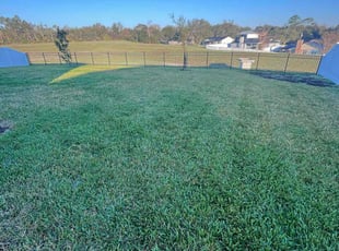 Derik W.'s Lawn Maintenance service result