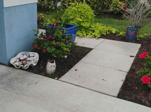 Weeding by Arely Elrod for Trey Q. in Parrish, FL