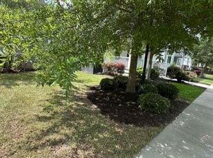 Bush Trimming by Walter Sandoval for Michael U. in Summerville, SC