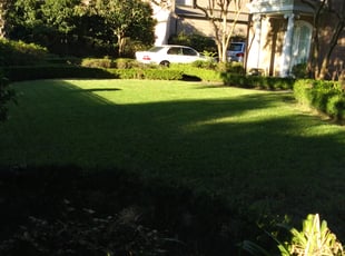 Leaf Removal by Joshua Washington for Mrs Z. in Metairie, LA